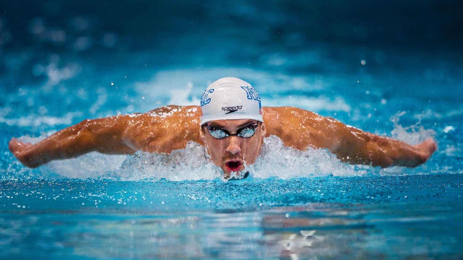Michael Phelps plava delfina